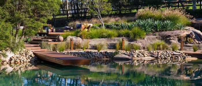 zona piscinei natura lac pasarela lemn gradina design