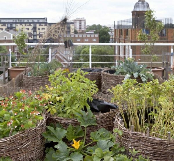 Sfaturi pentru îngrijirea terasei pe acoperiș