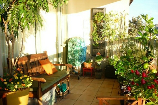 în mijlocul unei mari oaze verzi de îngrijire a orașului