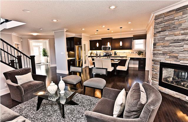 camere-living-spațioase-aspect minunat