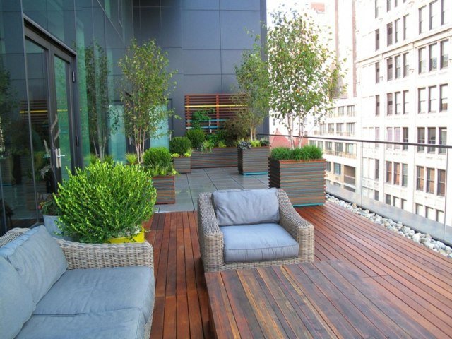 Podele plante perene fotoliu canapea sticlă