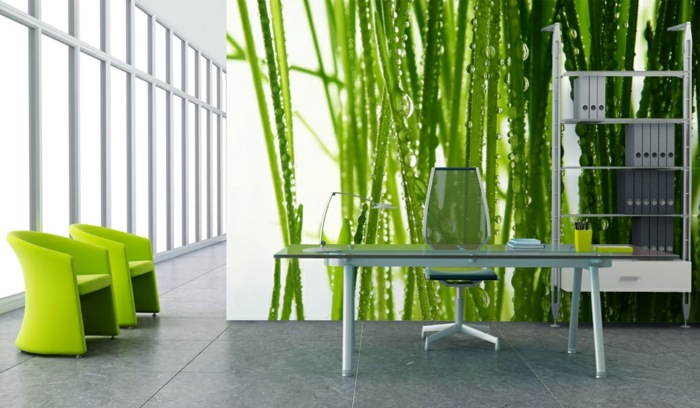 Imagini de fundal foto ieftine pentru zona de lucru Fotomural plante de bambus