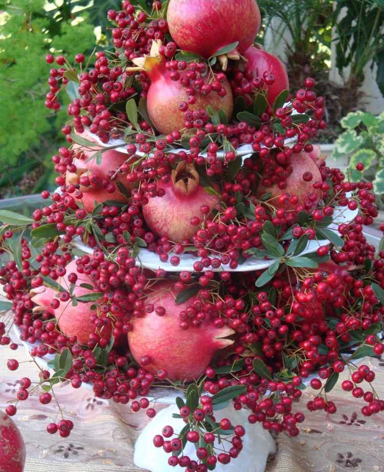 Decorul de toamnă iarnă decorează suportul pentru tort cu rodii și fructe de pădure