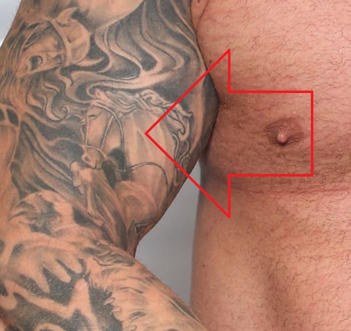 „Hafpor“ arklio tatuiruotė