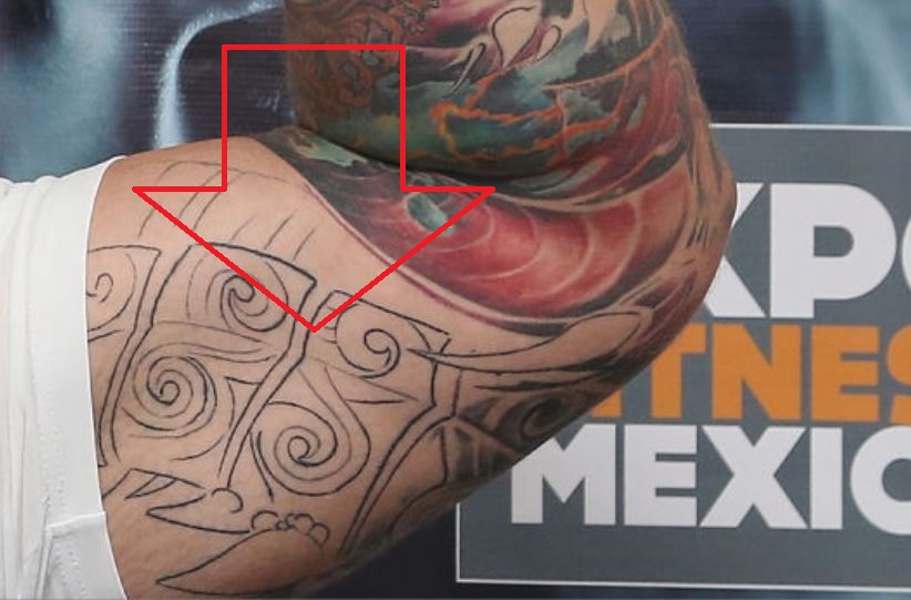 „Hafpor“ bicepso dizainas