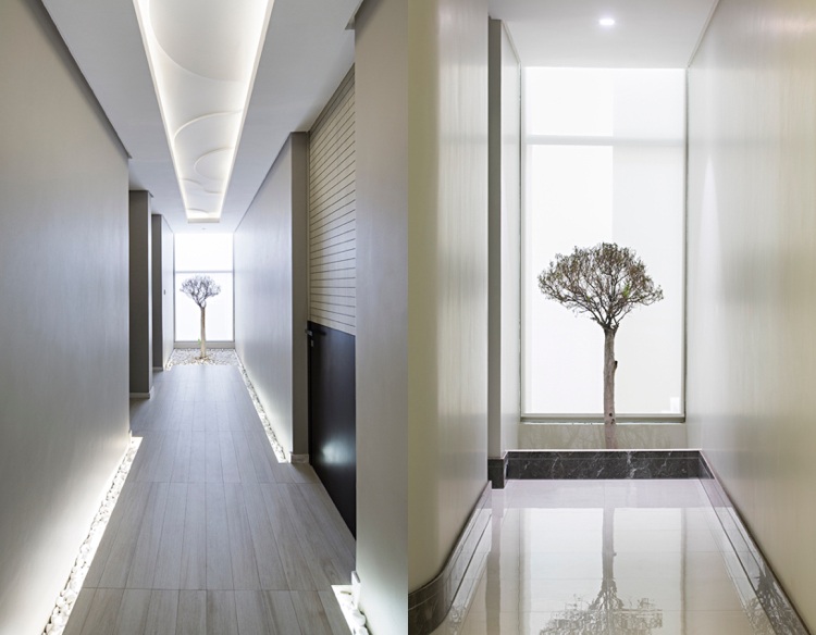 clădire intrare proiectare hol hol caracteristici plante de interior