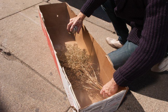 ramuri de eucalipt flori culoare auriu spray