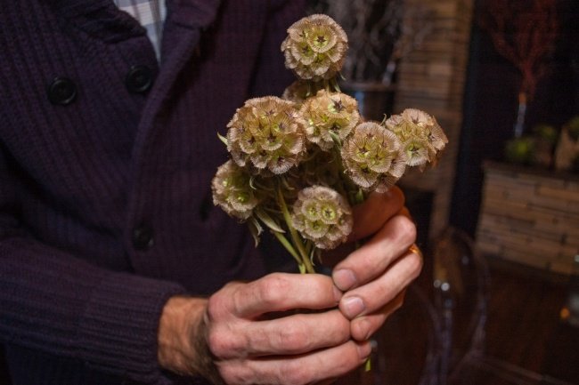 instrucțiuni de aranjament floral de toamnă păstăi Scabiosa