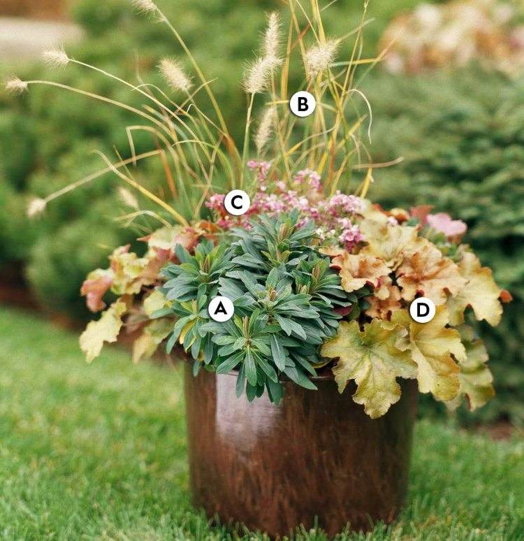 Plantați căzi cu plante perene toamna