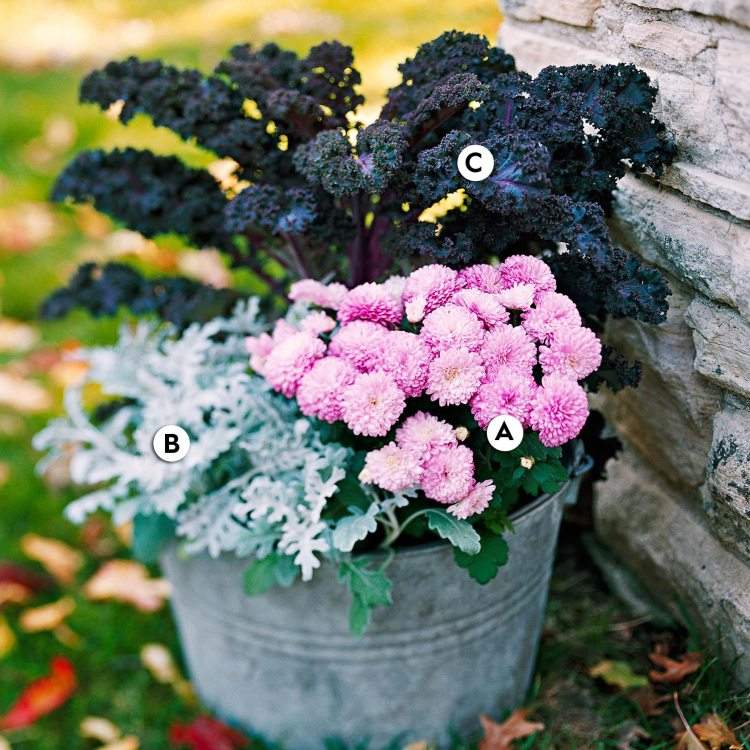 Plantare de toamnă pentru căzi cu accente roz pentru o atingere vintage