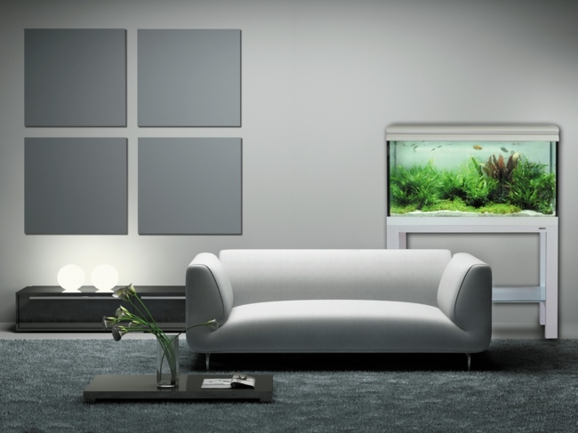 Avantaj camera de zi minimalistă Pești Nano Aquarium Avantajul peștilor