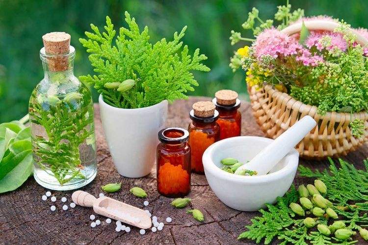 homeopatia de bază principii demne de cunoscut