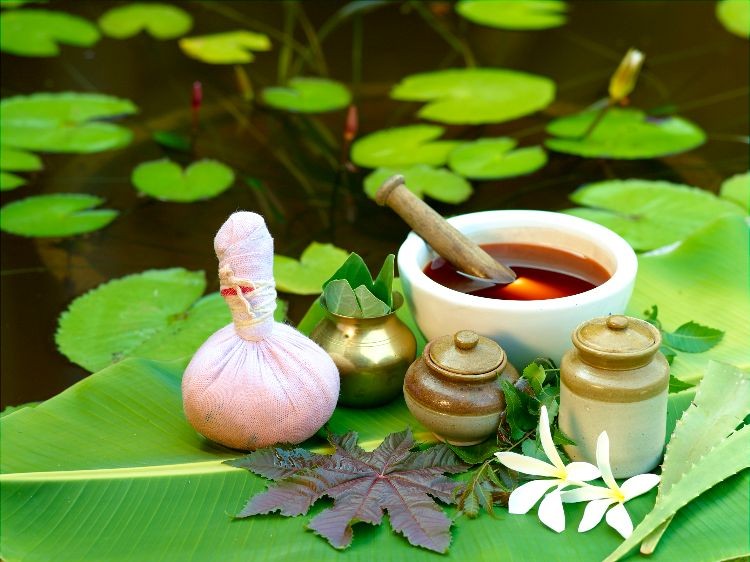 homeopatie remedii naturale substanțe vindecătoare