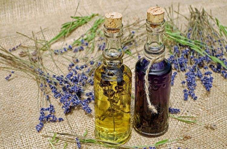 testarea substanțelor medicinale homeopate