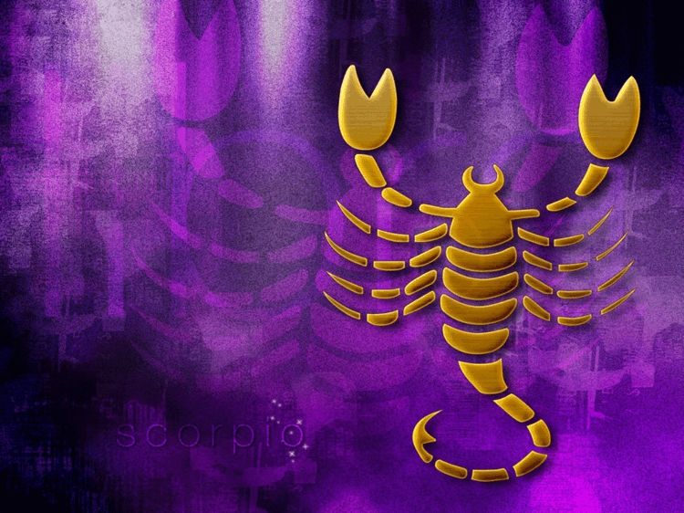 Horoscop anual pentru Scorpion - sănătate, dragoste și fericire Horoscop Scorpion An Horoscop Zodie Zodie Iubire Sănătate