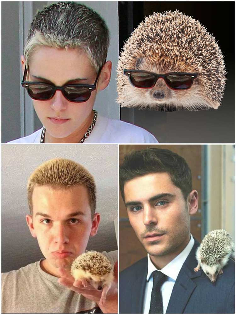 Coafura arici cu evidențiază bărbat femeie