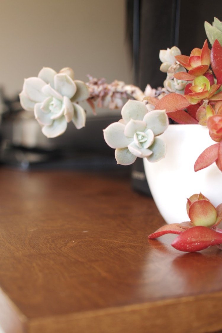 ikea-besta-raft-sistem-de-depozitare-suprafață-lemn-optică-desigur