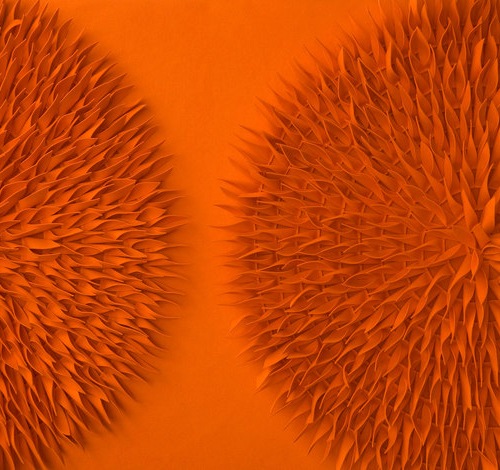 idei inovatoare placare perete-perete acustic