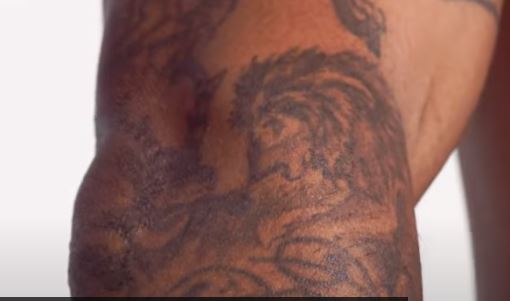 JID leone che mangia una gazzella