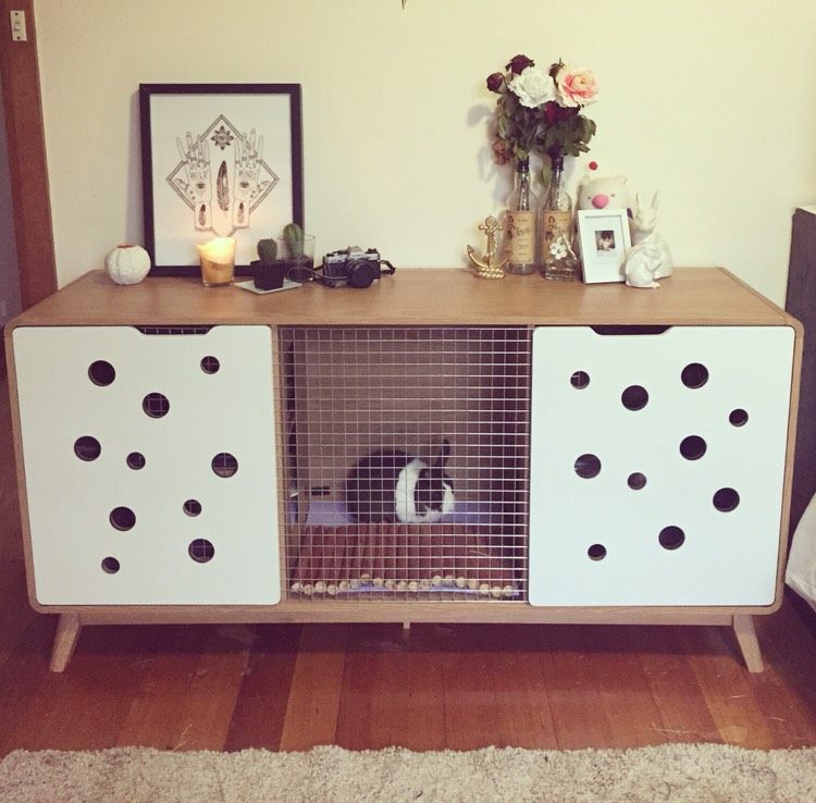 incinta iepure-interior-camera-comoda-living