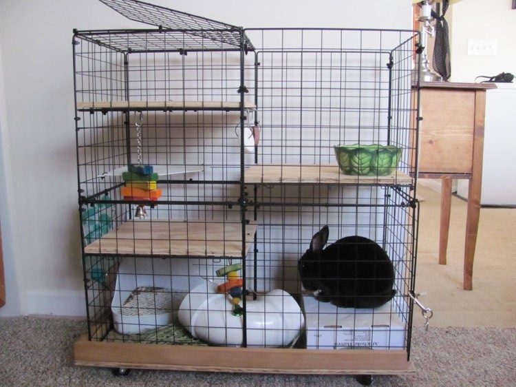 carcase de iepuri-rafturi-lemn-grilaj-ridicat-mobilier