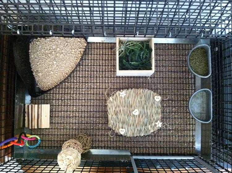 incinte iepure-echipament-sârmă-jucării-fibre naturale