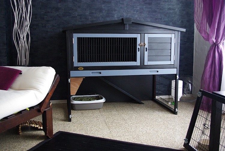incinta-iepure-interior-interior-camera-moderna-din-lemn
