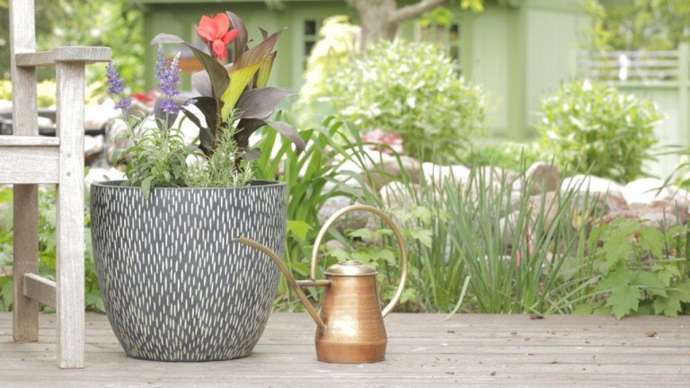 Proiectarea unei grădini cu cadă Sfaturi de îngrijire Udarea solului