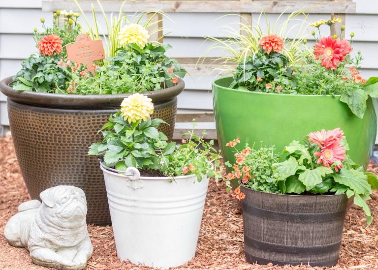 Proiectează o grădină cu cadă Flori combină idei decorative