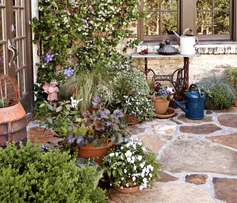 Plantarea într-o grădină de cadă Sfaturi Combinarea plantelor perene cu ierburi ornamentale