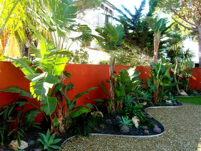 Grădina mediteraneană creează palmieri cu pat de flori creați paturi de flori palmieri despărțitor de cameră