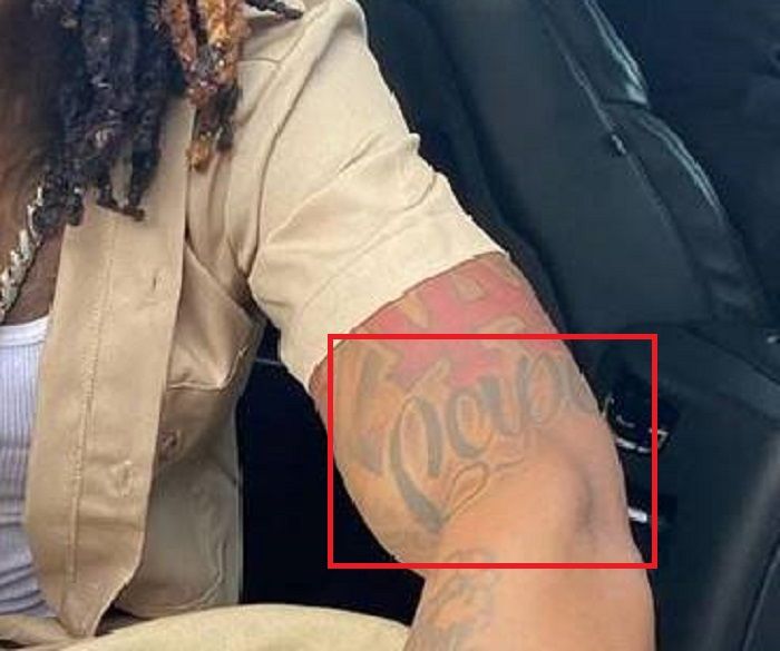 leva roka kralja vonja