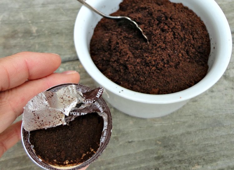 Așezați zațul de cafea pe solul de ghiveci Muște-ghiveci-luptă-cafea-zăpadă-substrat-amestec-sol