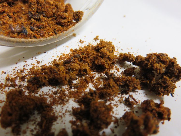 luptați cu muștele mici cu prădătorii lor Muște-ghiveci-sol-luptă-substrat-sol-larve-ouă