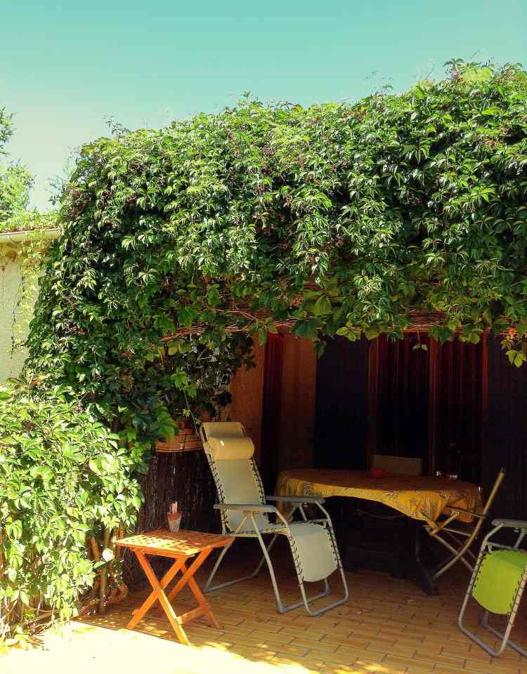 Plantele cataratoare ca plante cățărătoare-balcon-terasă-acoperiș-umbră-șezlonguri-scaune-vară