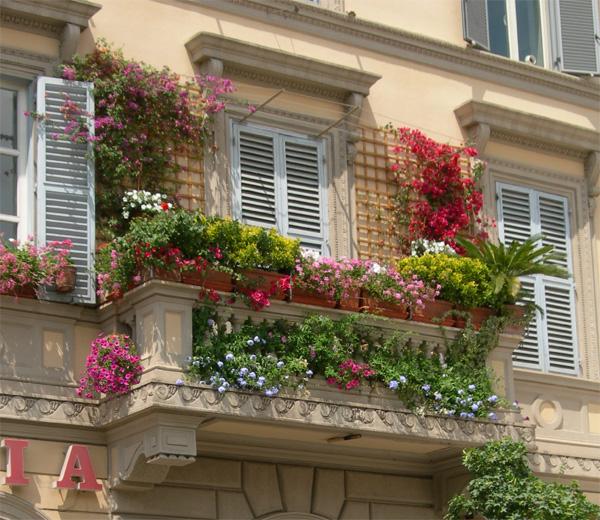 Balcon din lemn grătar perete plante plantatoare Grătar de lemn din grătar balcon plantator