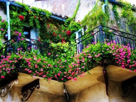 Balcon împodobit cu fațade de plante înverzite Balcon împodobit fațade de plante înverzite