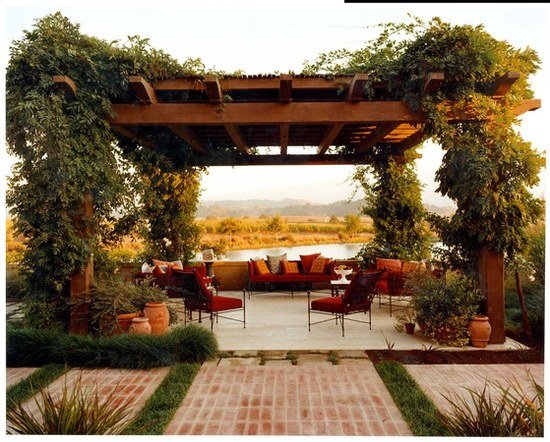 plante cataratoare arbore din lemn ecran de intimitate mobilier de gradina plante cățărătoare lemn pergola ecran de confidențialitate mobilier de grădină