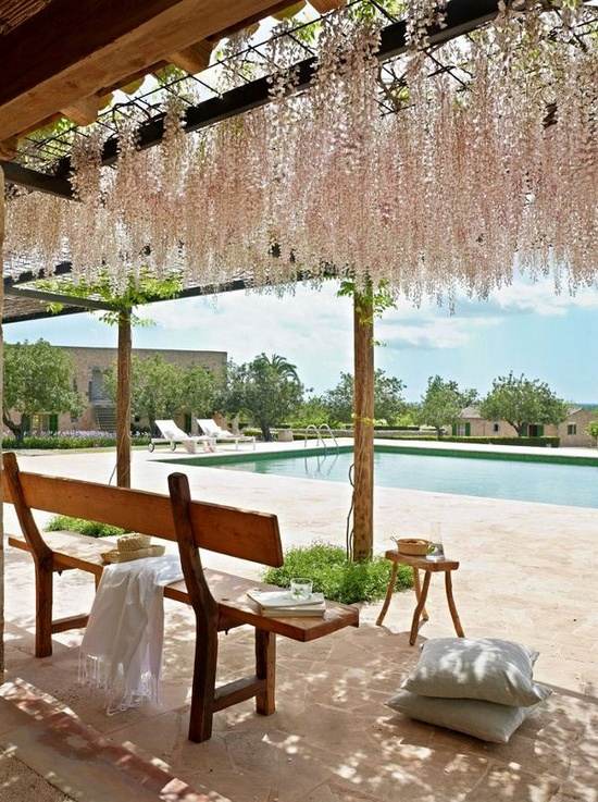 glicină albă plăcută umbră decor terasă arbor decor de umbră de glicină albă arbore de patio