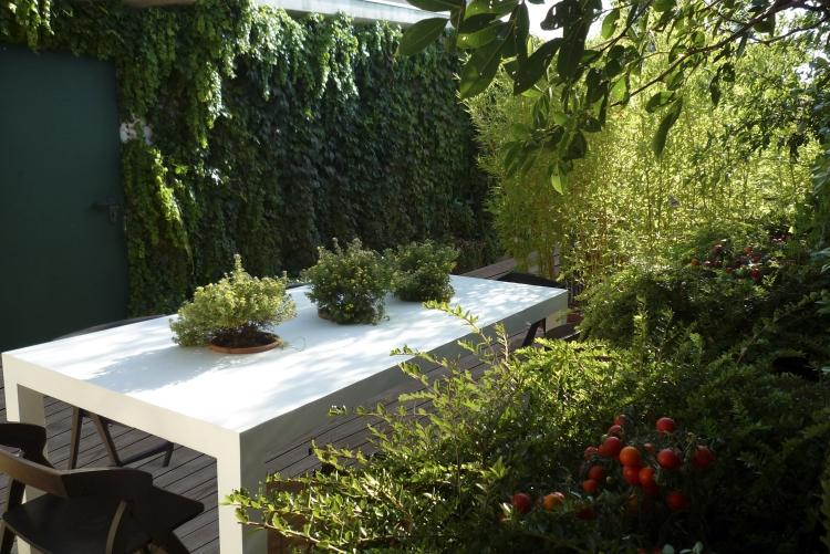 Plantele cataratoare ca verdeata si protectia intimitatii in zona exterioara Plante cățărătoare-balcon-terasă-iederă-protecție a vieții private-masă-scaune pentru plante