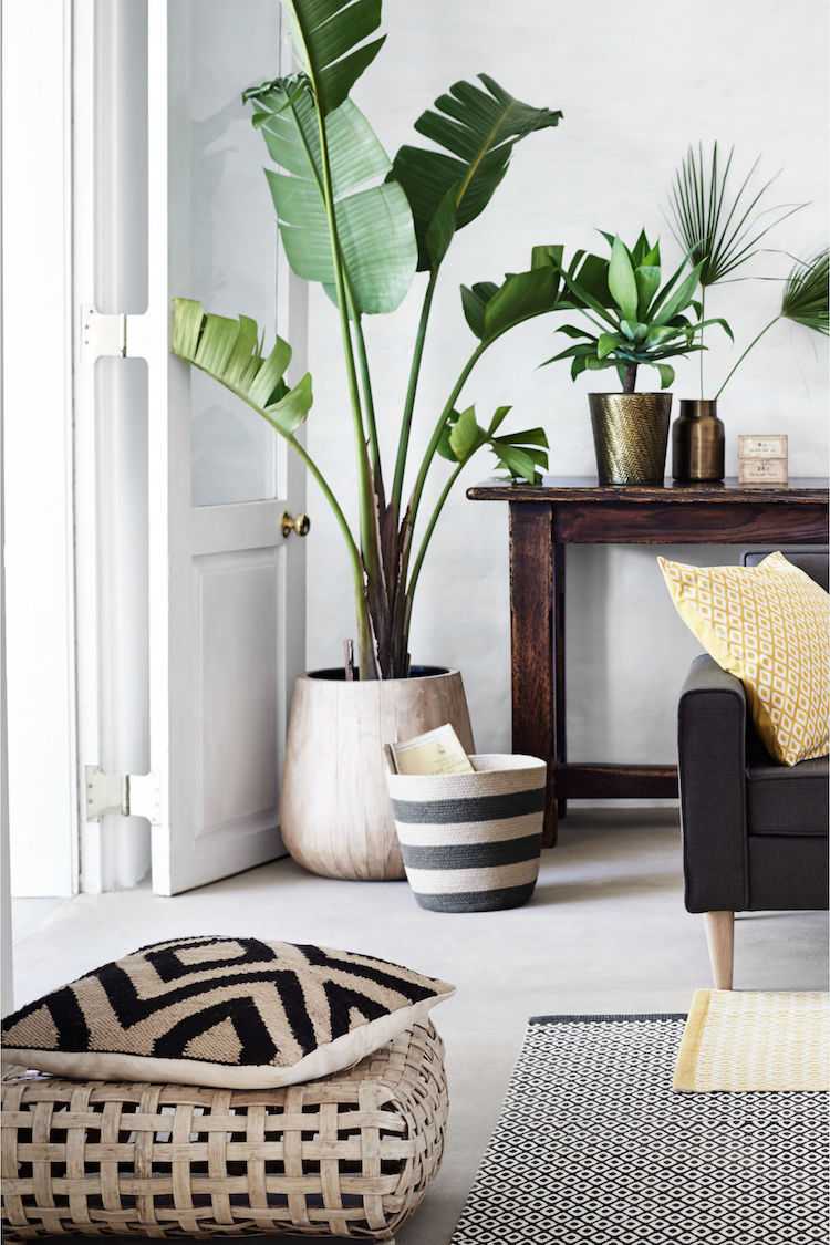 creative-wonhzimmer-design-houseplants-planters