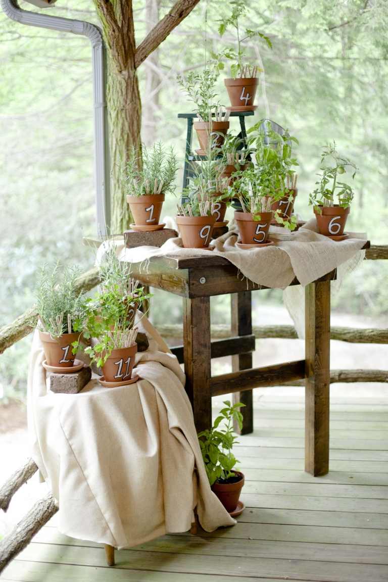 Ierburi ca un decor de nunta ghivece de flori numărul de masă