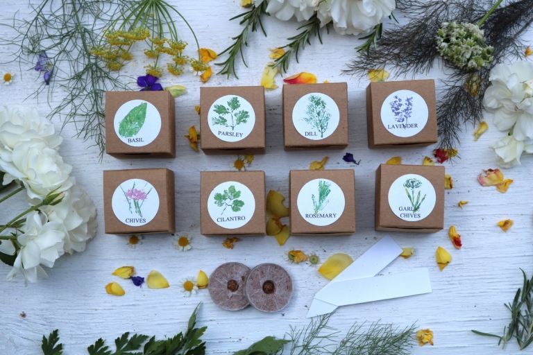 Oaspeții cadouri busuioc mărar lavandă rozmarin