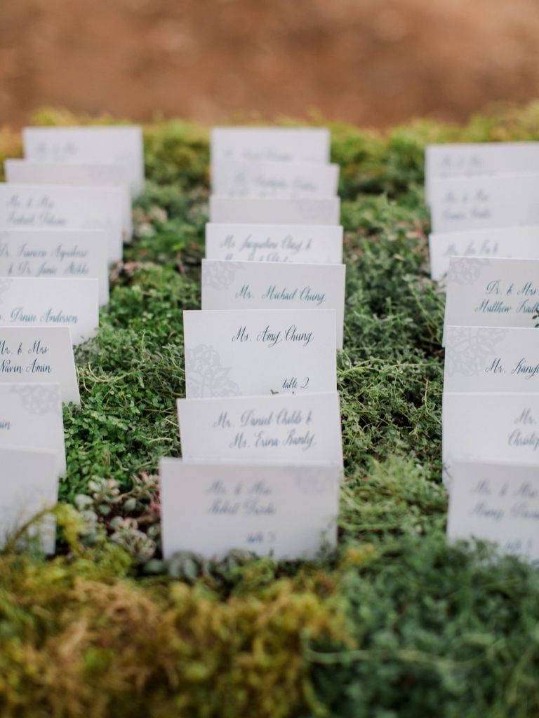 Moss cress place carduri invitatii nunta