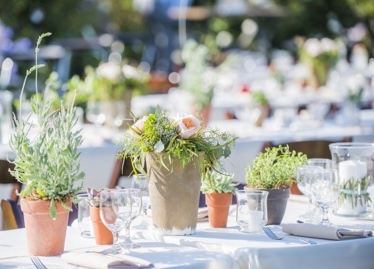 proaspăt decorați puristul castelului de nuntă de vară