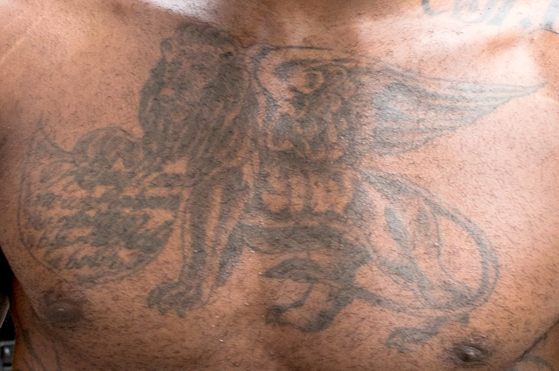 Tatouage Lion Ailé LeBron