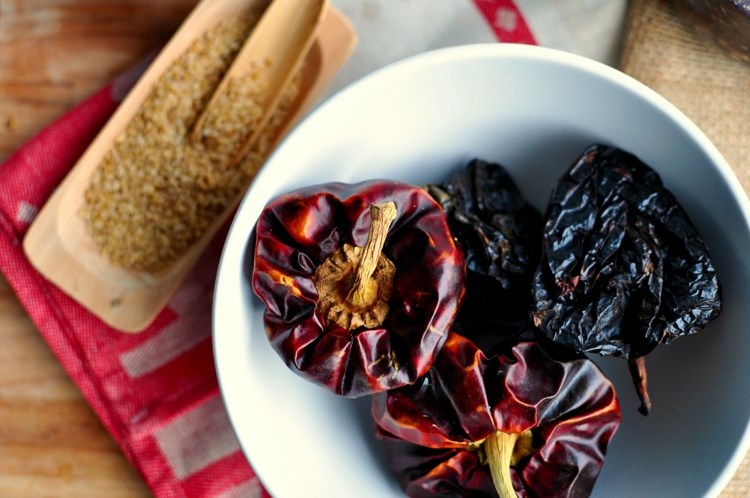 Sosuri pentru gratar-retete-poblano-chilli-guajillo-mexican-flair