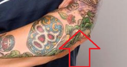 Tatuagem de Lita Berry e Folhas