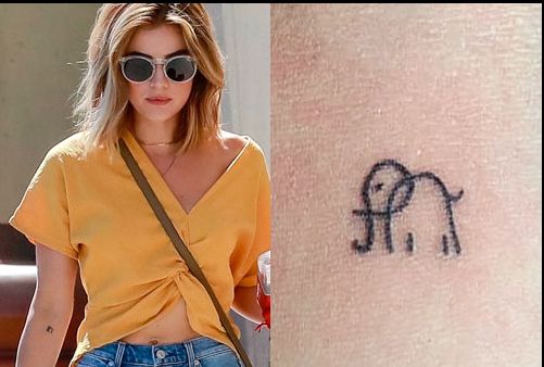 ルーシーヘイル右腕象