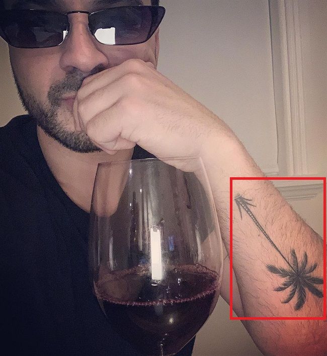 ヤシの木のタトゥー-ルイスフォンシ